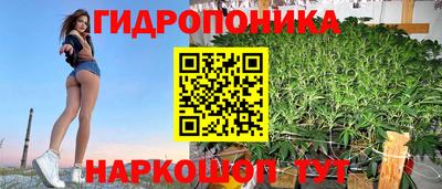 PSILOCYBIN Жуковский